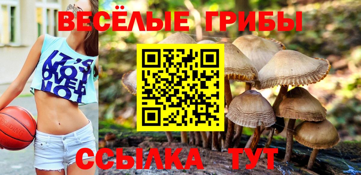Невинномысск  Псилоцибиновые грибы мухоморы  Вход с VPN 